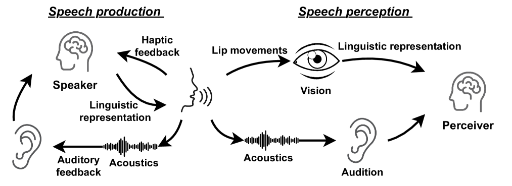 Separate in the Speech Chain: Cross-Modal Conditional Audio-Visual Target Speech Extraction