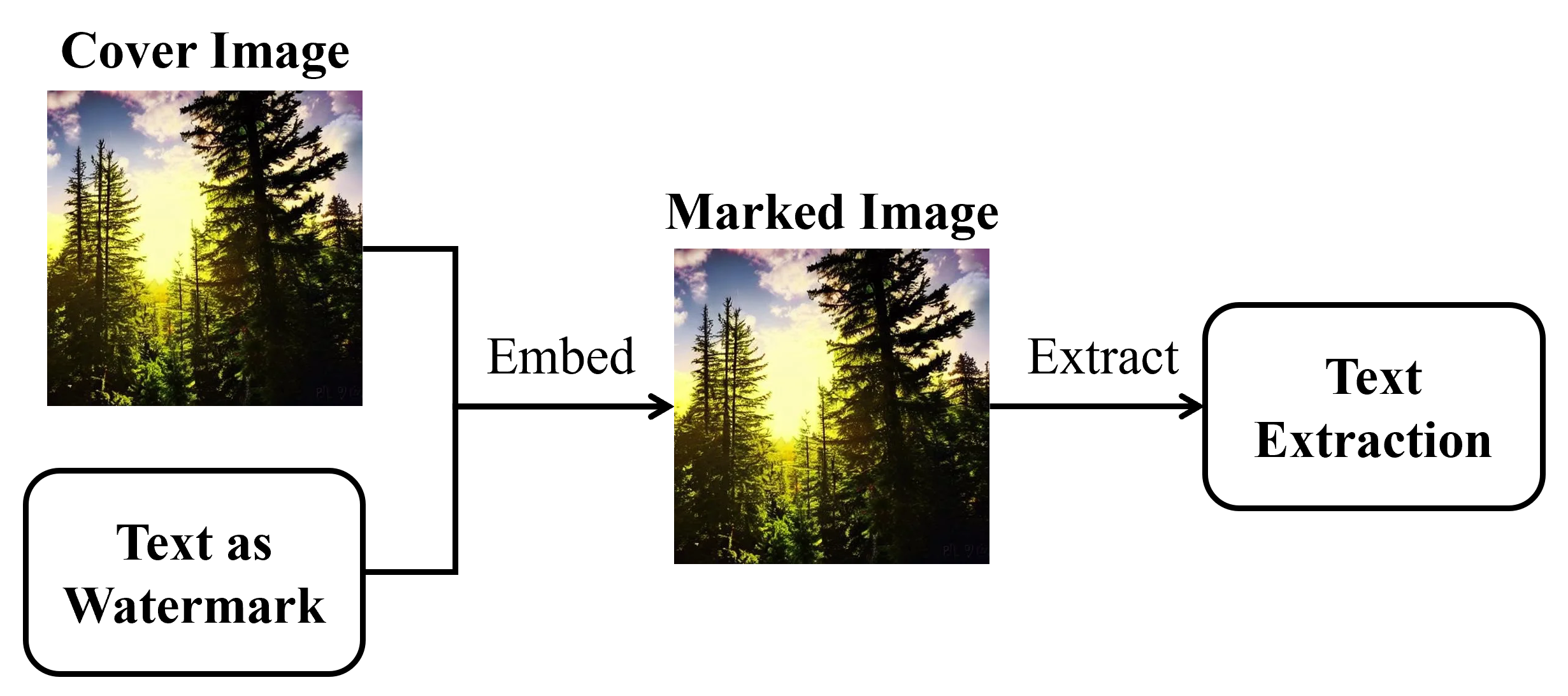 Deep Learning-based Text-in-Image Watermarking
