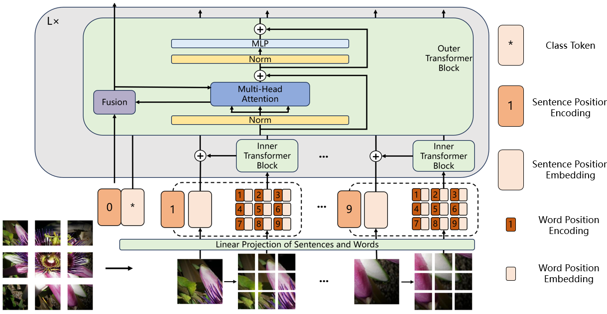 Nested-TNT: Hierarchical Vision Transformers with Multi-Scale Feature Processing