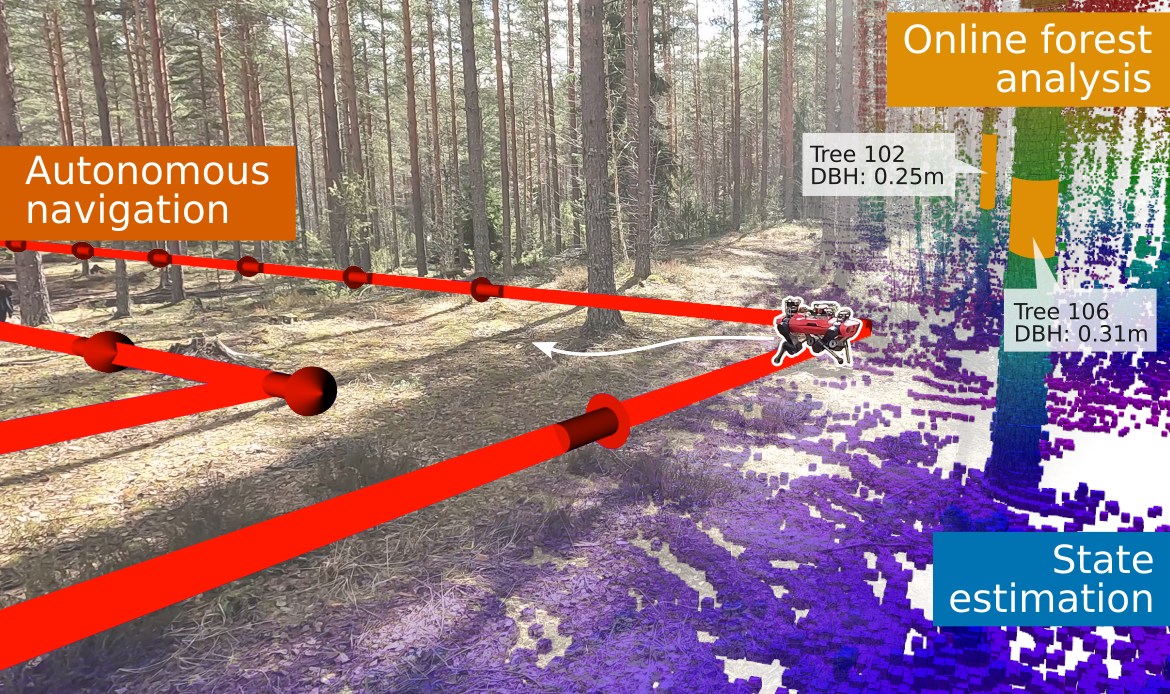 Autonomous Forest Inventory with Legged Robots: System Design and Field Deployment