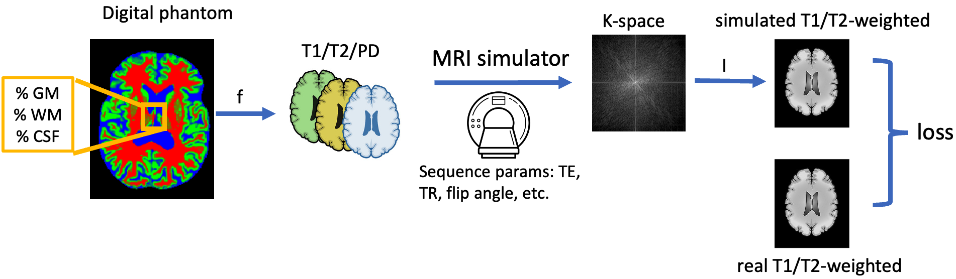 BMapOpt: Optimization of Brain Tissue Probability Maps using a Differentiable MRI Simulator