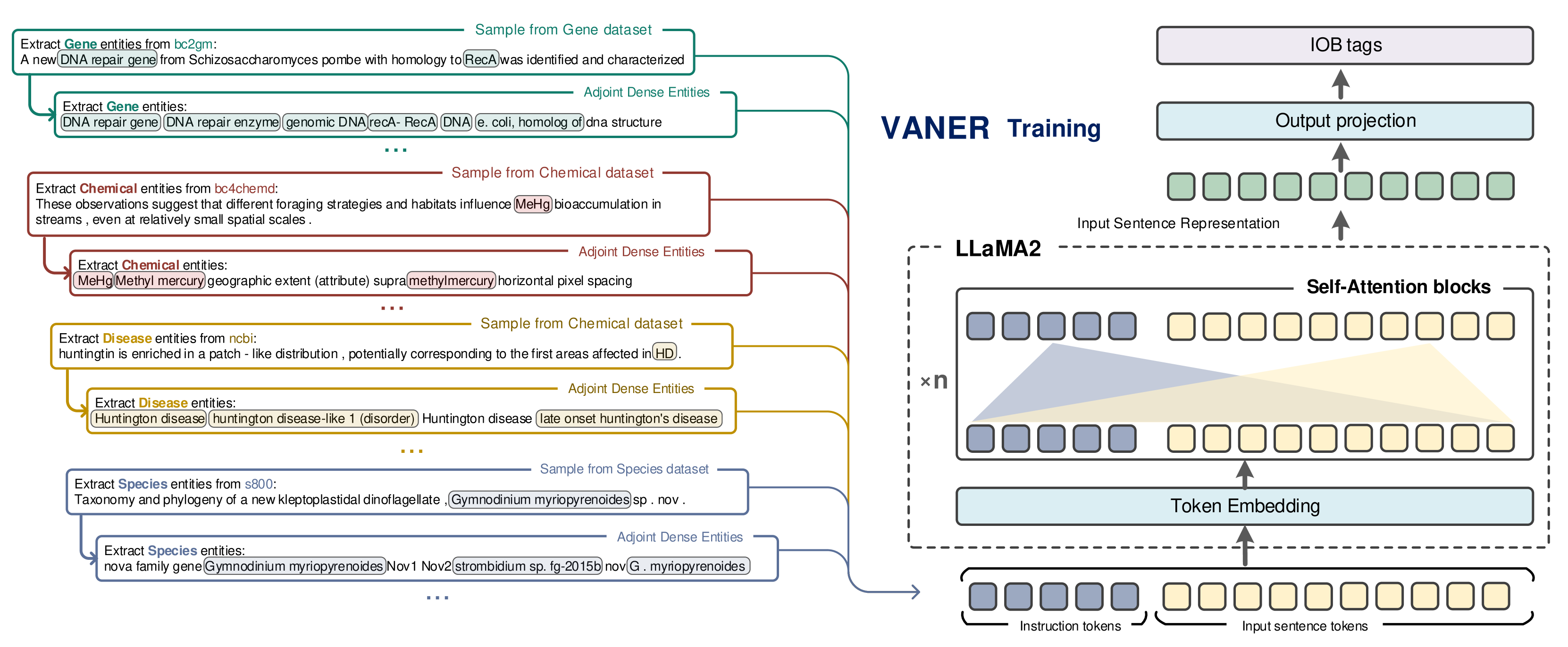 VANER: Leveraging Large Language Model for Versatile and Adaptive Biomedical Named Entity Recognition