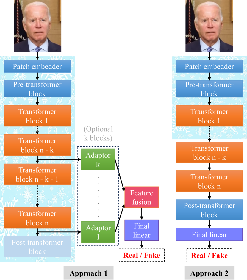 Exploring Self-Supervised Vision Transformers for Deepfake Detection: A Comparative Analysis