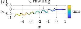 \begin{overpic}[width=142.26378pt]{figs/fig_sims_crawl_shape.eps}
\put(0.0,32.0){(c)}
\put(35.0,33.0){Crawling}
\put(52.0,24.0){$\longleftarrow$}
\end{overpic}