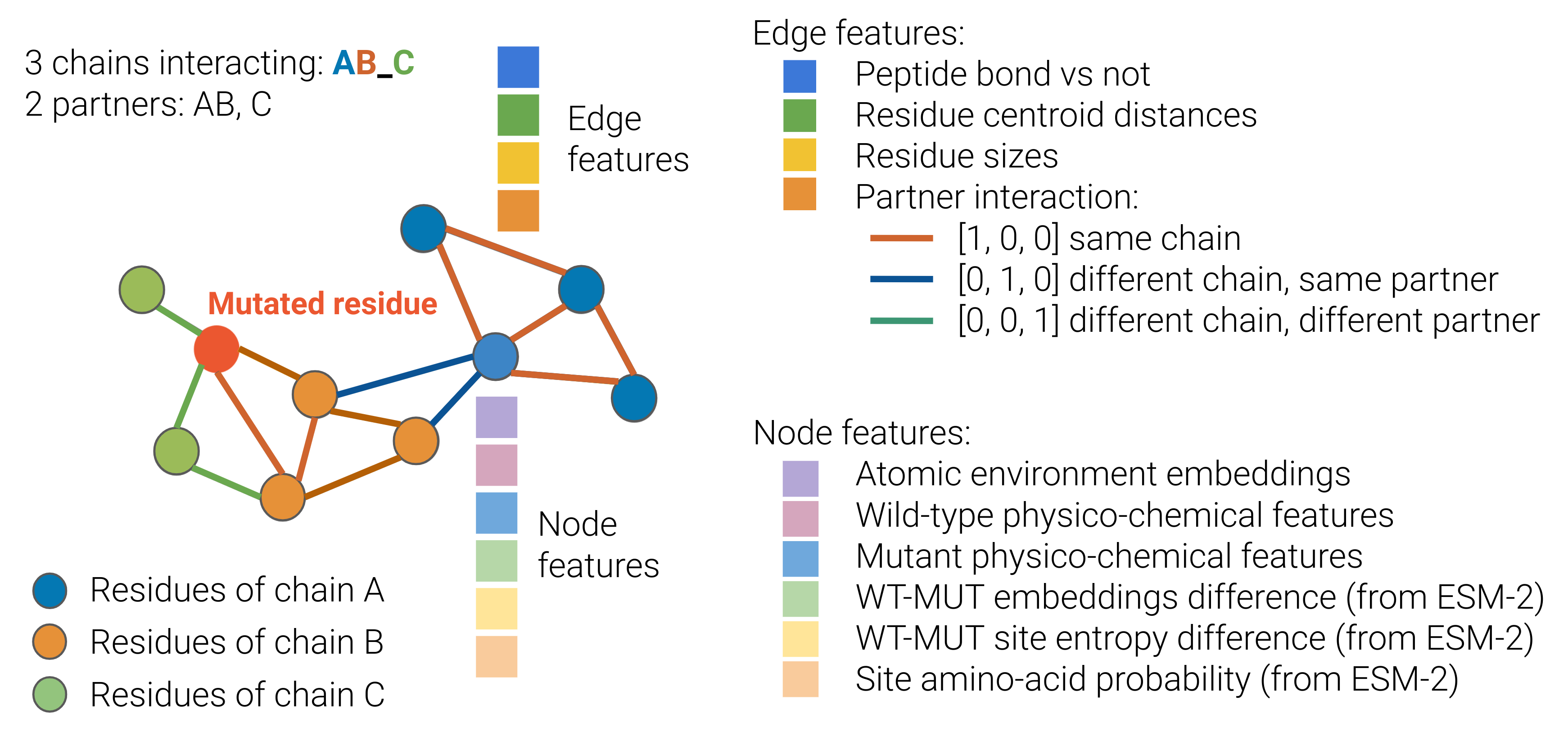 Protein binding affinity prediction under multiple substitutions applying eGNNs on Residue and Atomic graphs combined with Language model information: eGRAL