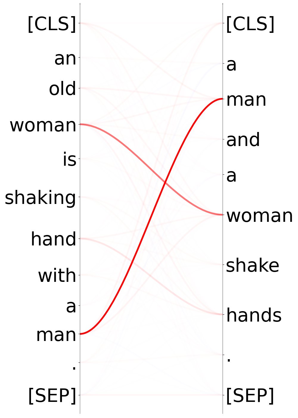 Explaining Text Similarity in Transformer Models