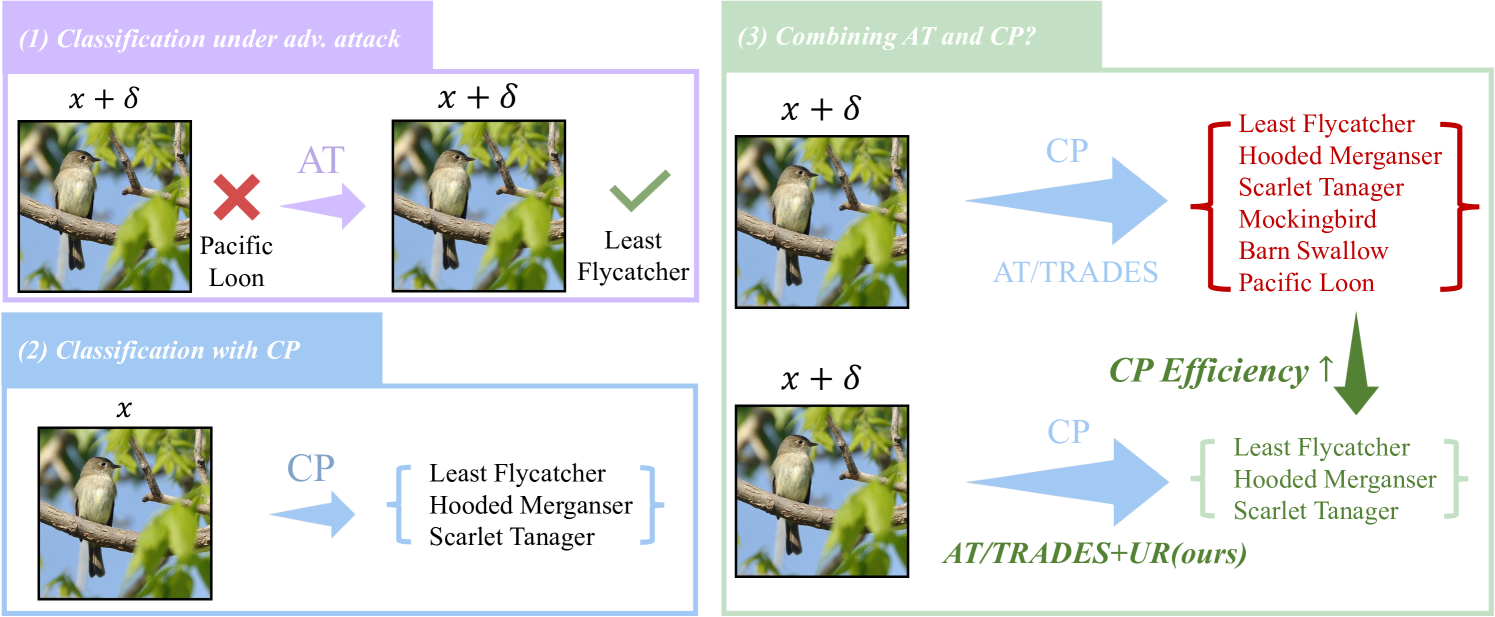 The Pitfalls and Promise of Conformal Inference Under Adversarial Attacks