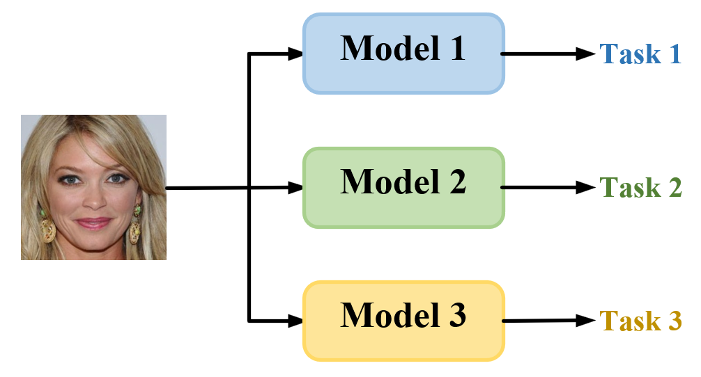 Task-adaptive Q-Face