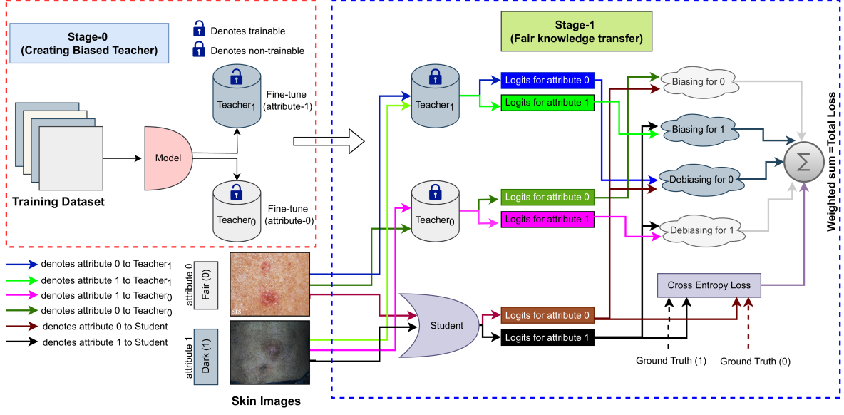 Biasing & Debiasing based Approach Towards Fair Knowledge Transfer for Equitable Skin Analysis