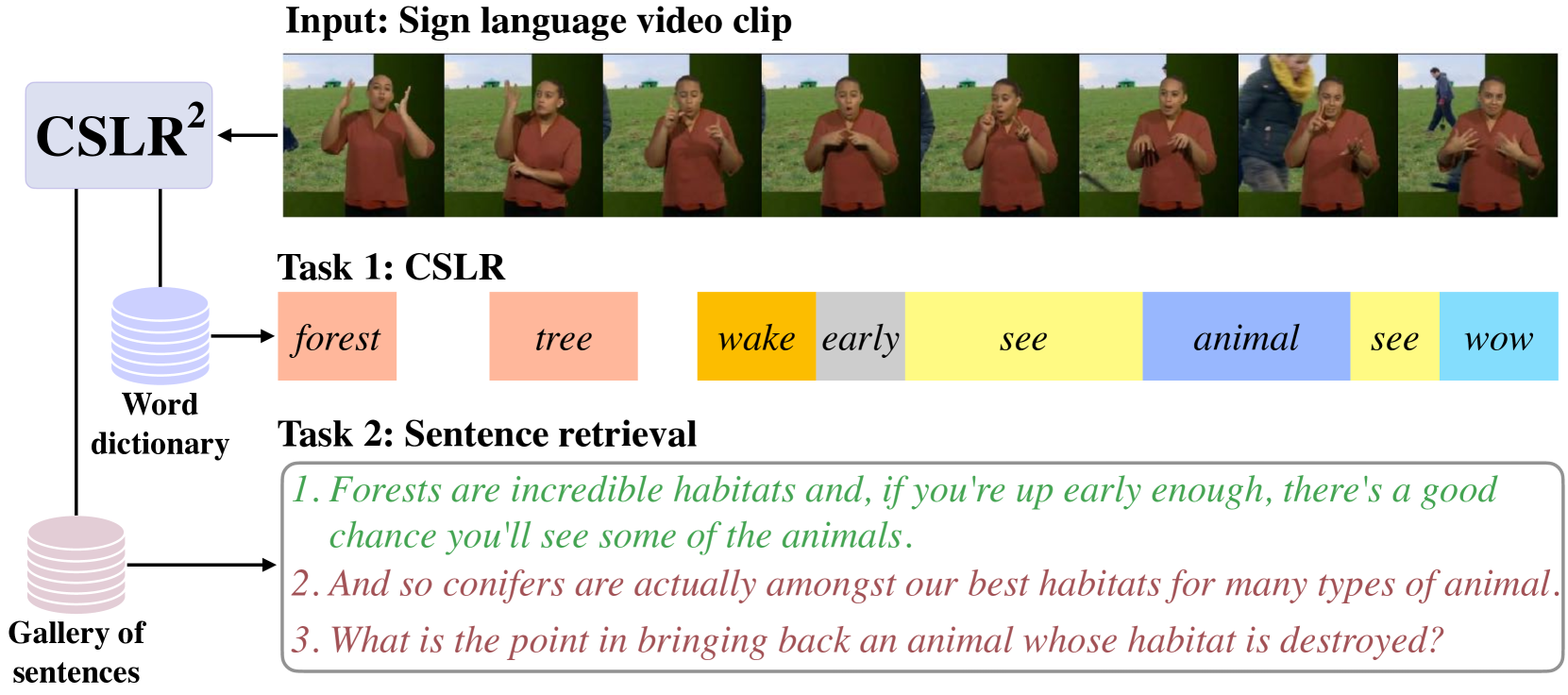 A Tale of Two Languages: Large-Vocabulary Continuous Sign Language Recognition from Spoken Language Supervision