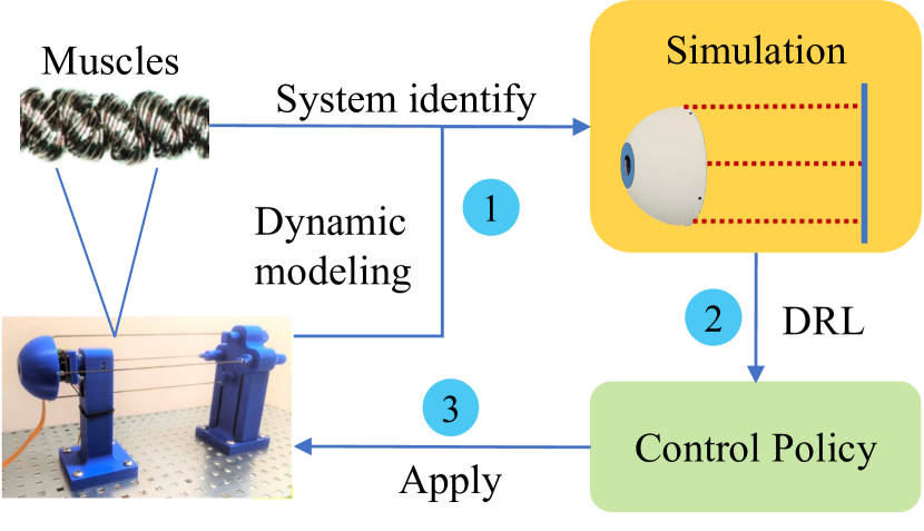 An Efficient Learning Control Framework With Sim-to-Real for String-Type Artificial Muscle-Driven Robotic Systems