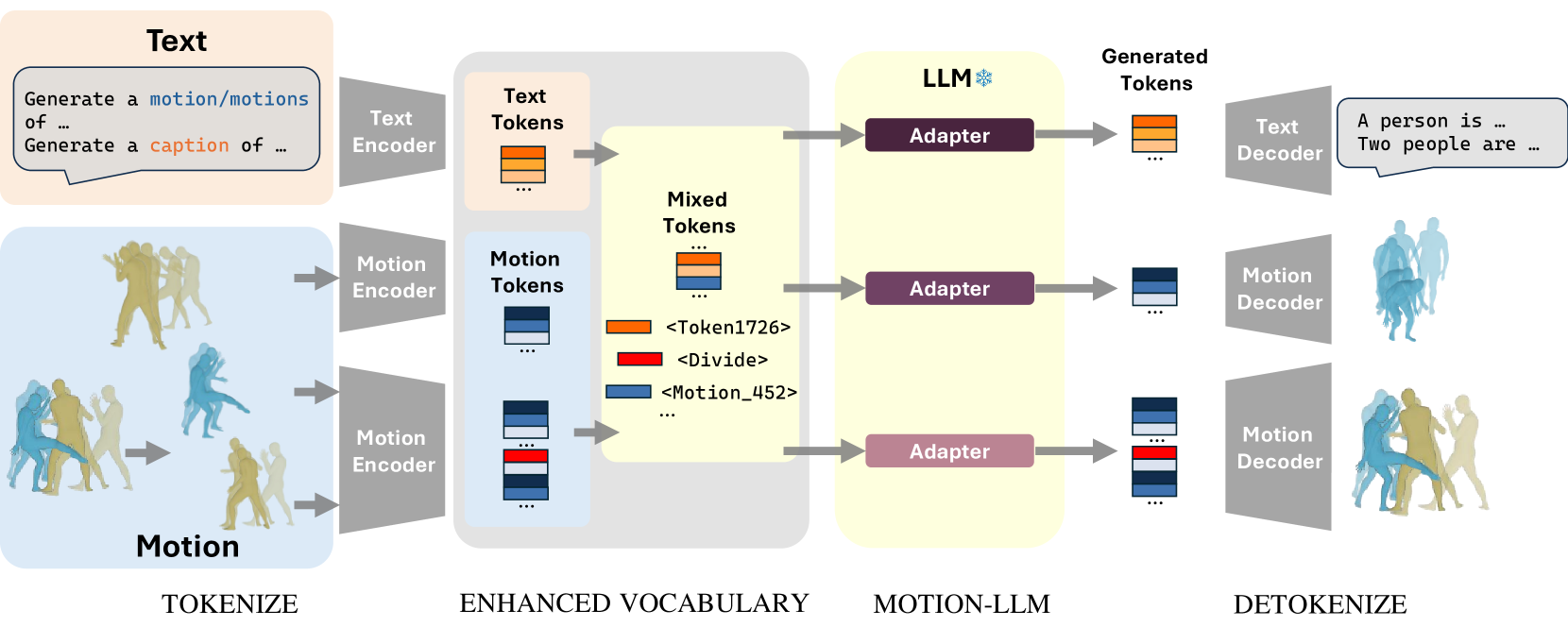 MotionLLM: Multimodal Motion-Language Learning with Large Language Models