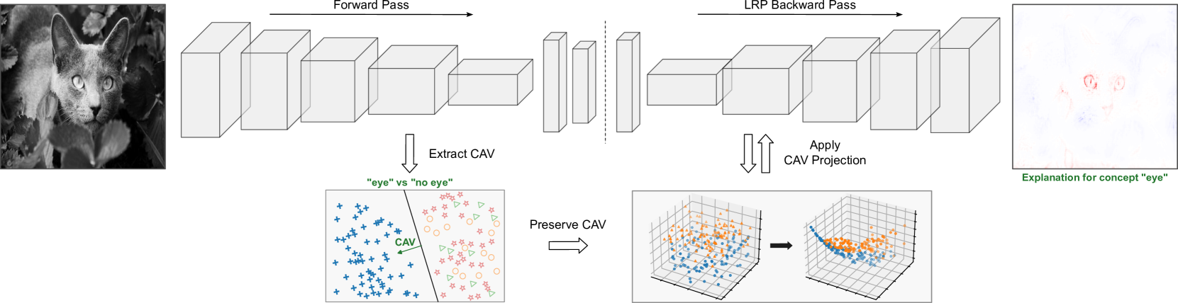 Locally Testing Model Detections for Semantic Global Concepts