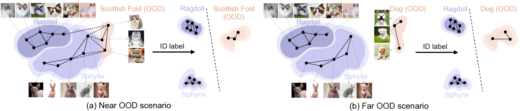 When and How Does In-Distribution Label Help Out-of-Distribution Detection?