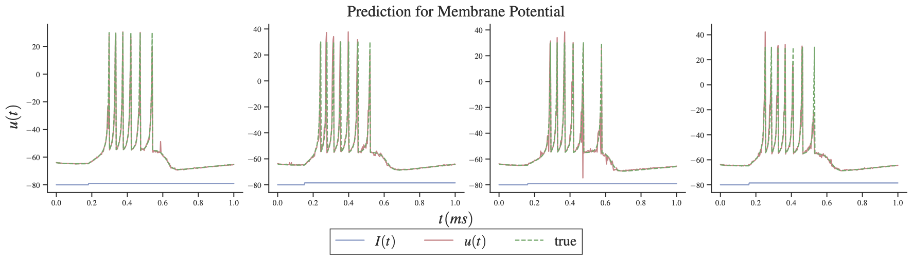 Transformers as Neural Operators for Solutions of Differential Equations with Finite Regularity