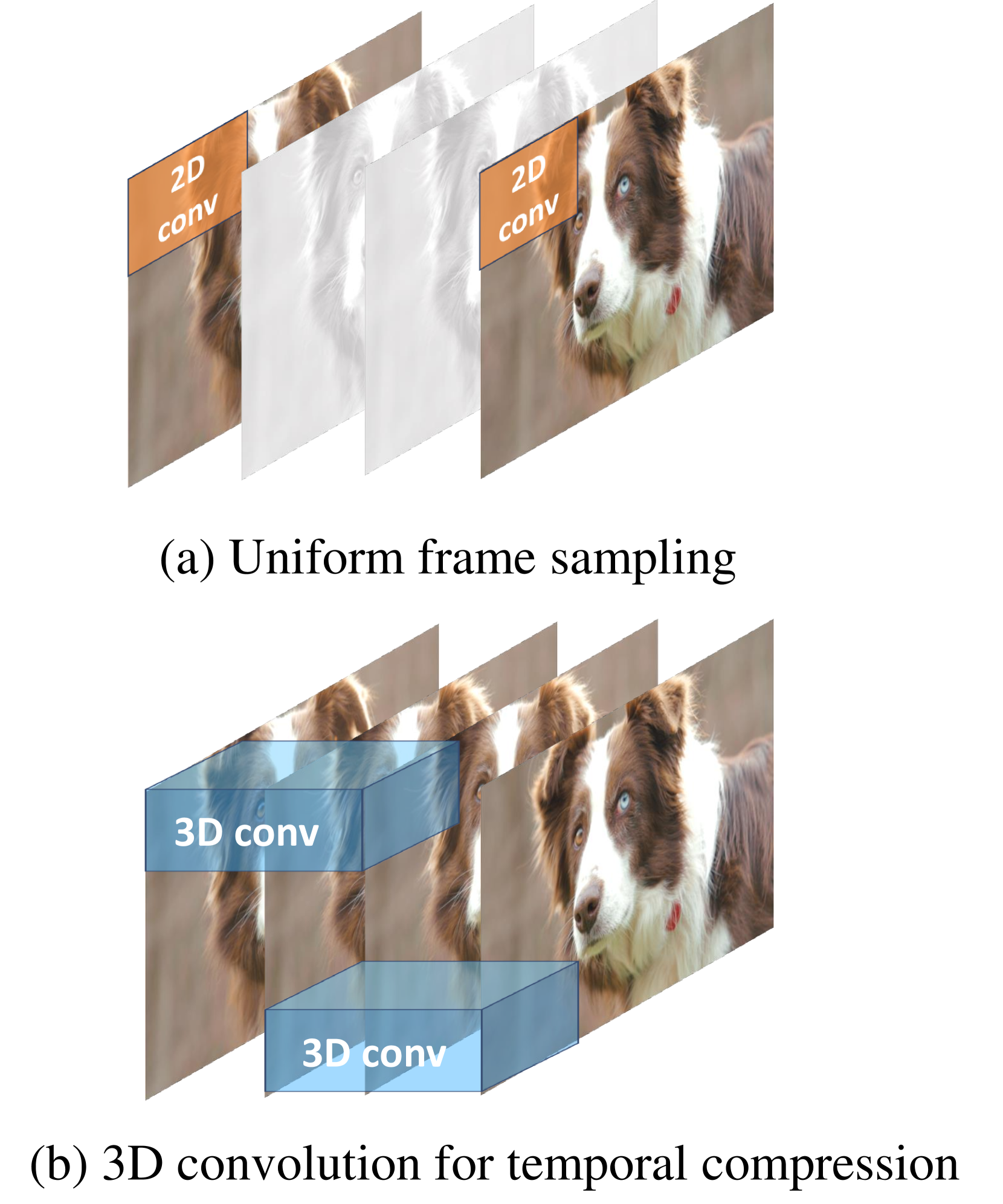 CV-VAE: A Compatible Video VAE for Latent Generative Video Models