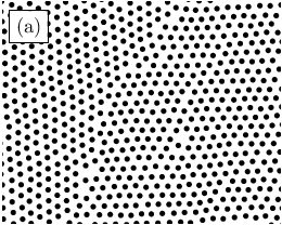 \begin{overpic}[width=138.76157pt]{figure1a.eps}
\put(0.0,690.0){ {\fcolorbox{black}{white}{(a)}}}
\end{overpic}