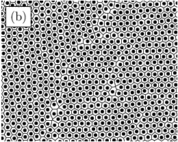 \begin{overpic}[width=138.76157pt]{figure1b.eps}
\put(0.0,690.0){ {\fcolorbox{black}{white}{(b)}}}
\end{overpic}