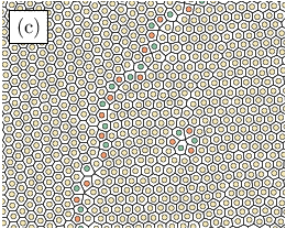 \begin{overpic}[width=138.76157pt]{figure1c.eps}
\put(0.0,690.0){ {\fcolorbox{black}{white}{(c)}}}
\end{overpic}