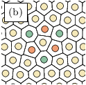 \begin{overpic}[height=65.04034pt]{figure5b.eps}
\put(-20.0,830.0){ {\footnotesize\fcolorbox{black}{white}{(b)}}}
\end{overpic}
