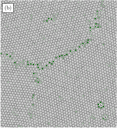 \begin{overpic}[width=212.47617pt]{figure6b.eps}
\put(0.0,930.0){ {\fcolorbox{black}{white}{(b)}}}
\end{overpic}