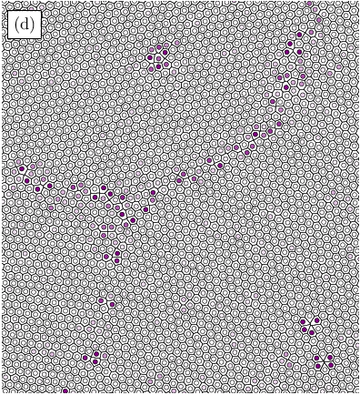 \begin{overpic}[width=212.47617pt]{figure6d.eps}
\put(0.0,930.0){ {\fcolorbox{black}{white}{(d)}}}
\end{overpic}