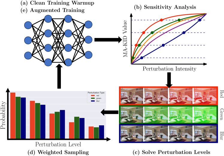 Sensitivity-Informed Augmentation for Robust Segmentation