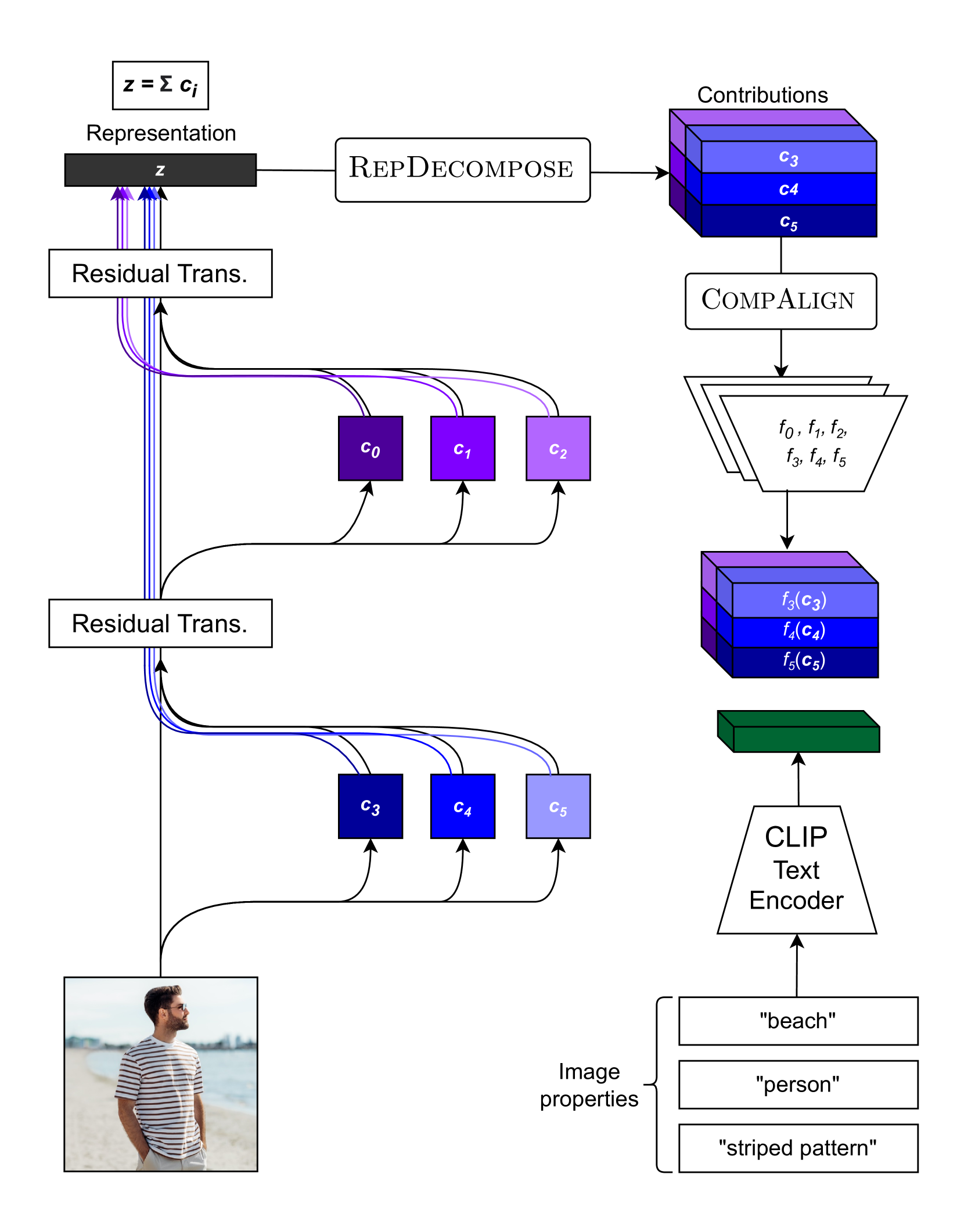 Decomposing and Interpreting Image Representations via Text in ViTs Beyond CLIP