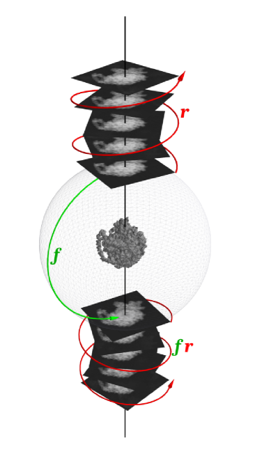 Equivariant amortized inference of poses for cryo-EM