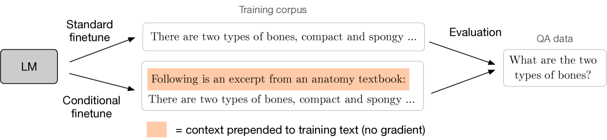 Conditional Language Learning with Context