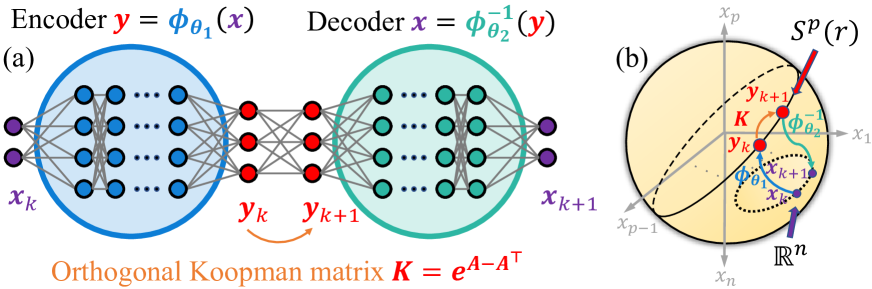 Learning Hamiltonian neural Koopman operator and simultaneously sustaining and discovering conservation law