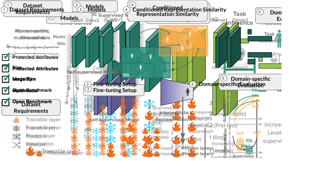 Using Self-supervised Learning Can Improve Model Fairness