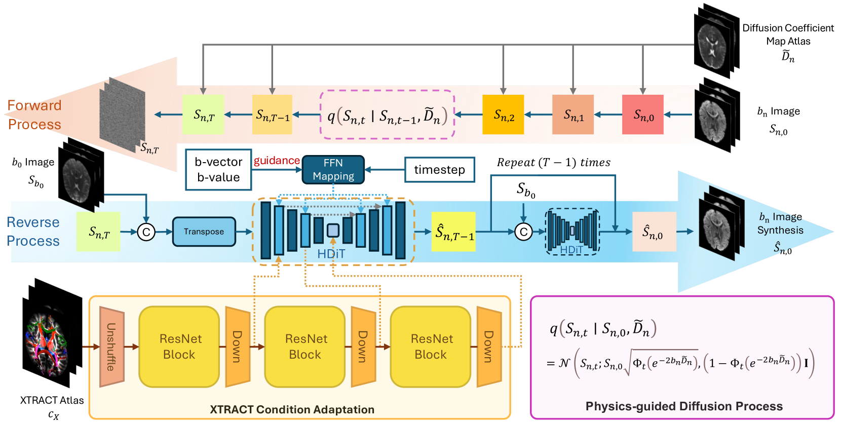 Phy-Diff: Physics-guided Hourglass Diffusion Model for Diffusion MRI Synthesis