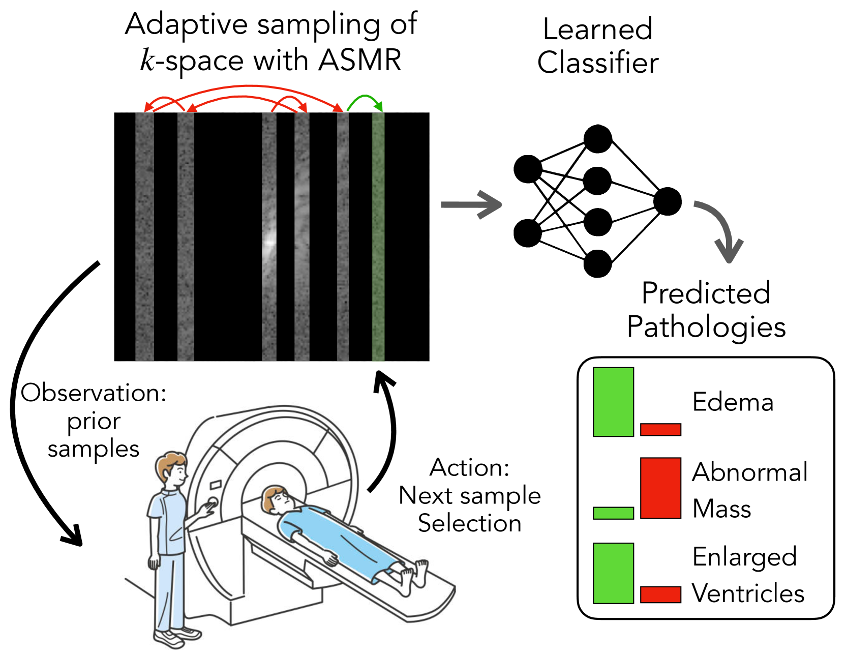 Adaptive Sampling of k-Space in Magnetic Resonance for Rapid Pathology Prediction