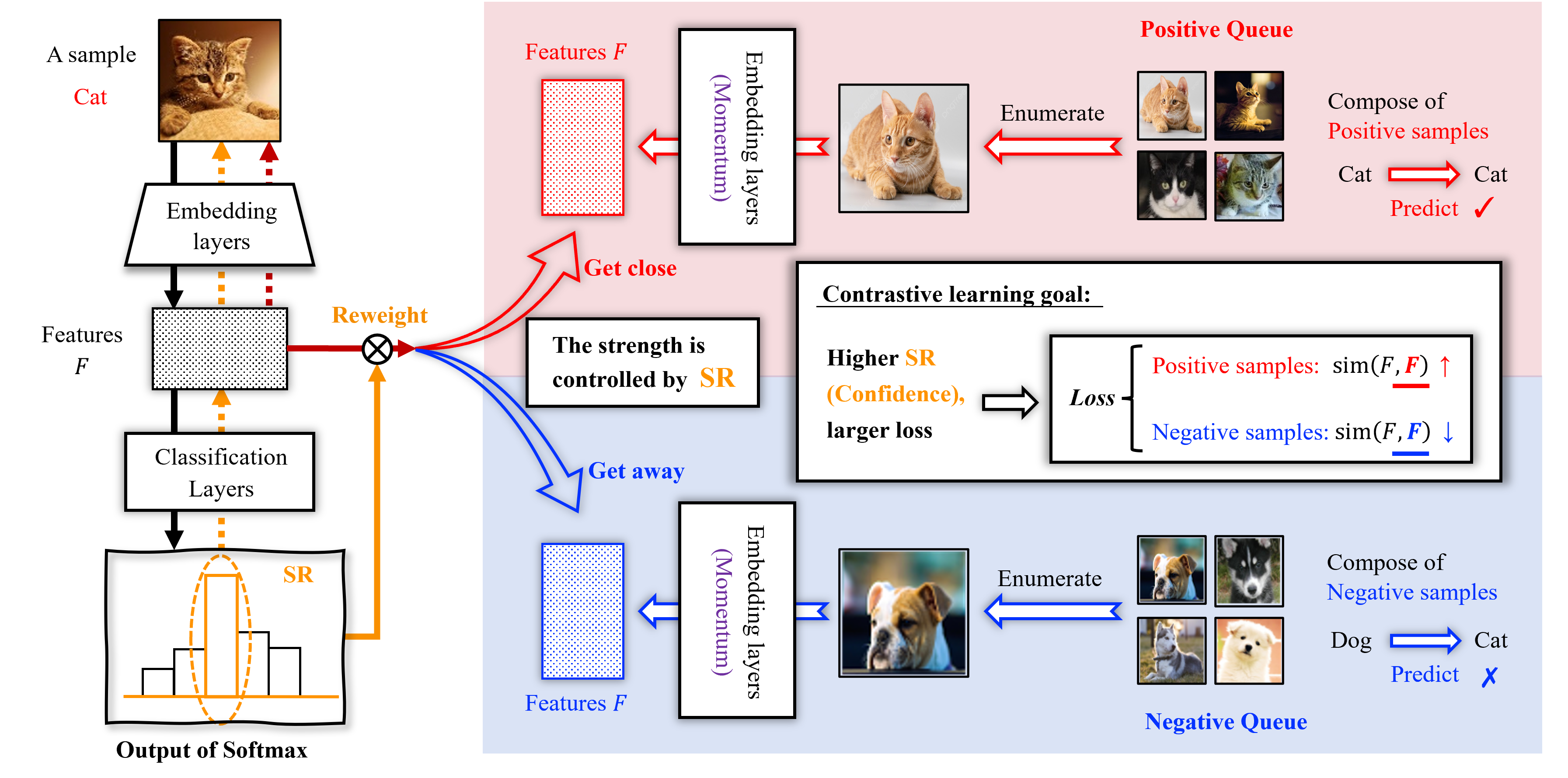 Confidence-aware Contrastive Learning for Selective Classification