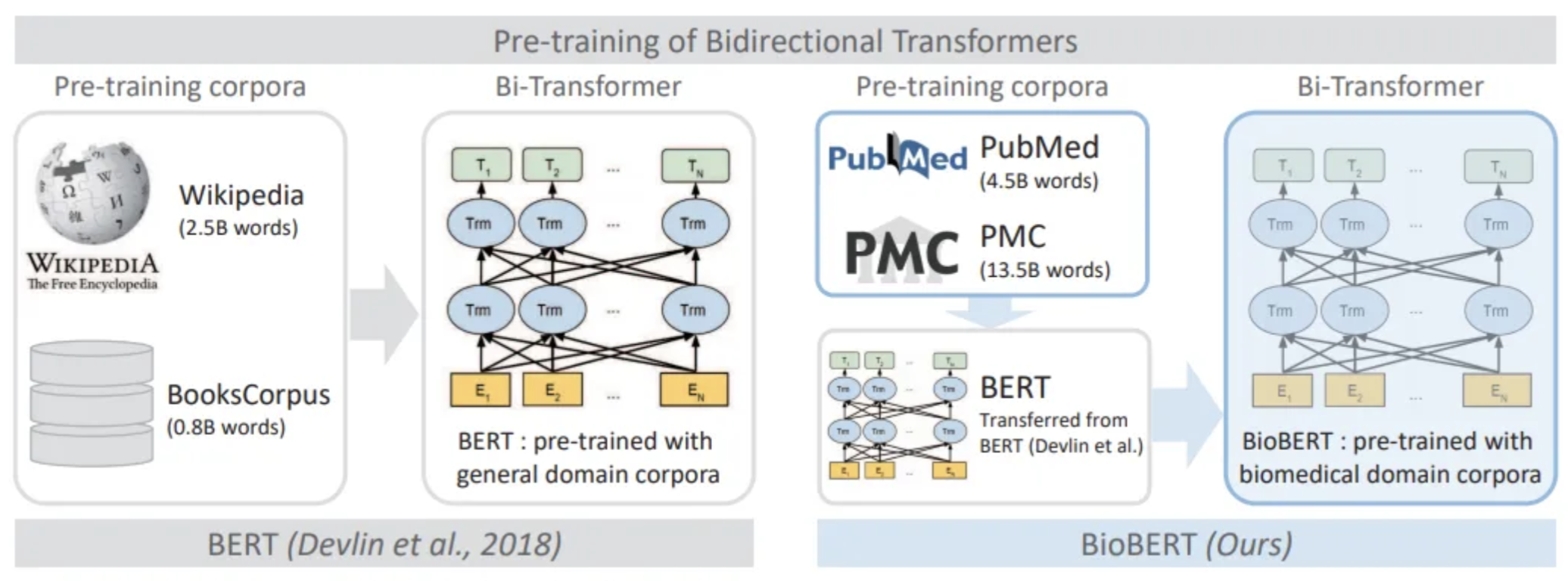 DeviceBERT: Applied Transfer Learning With Targeted Annotations and Vocabulary Enrichment to Identify Medical Device and Component Terminology in FDA Recall Summaries