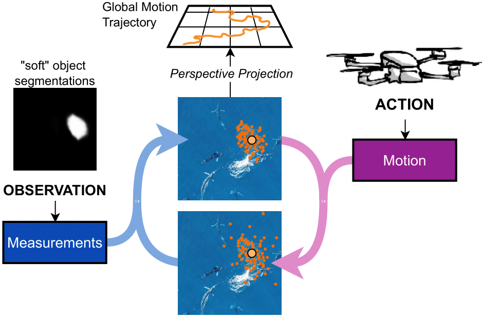 Watching Swarm Dynamics from Above: A Framework for Advanced Object Tracking in Drone Videos