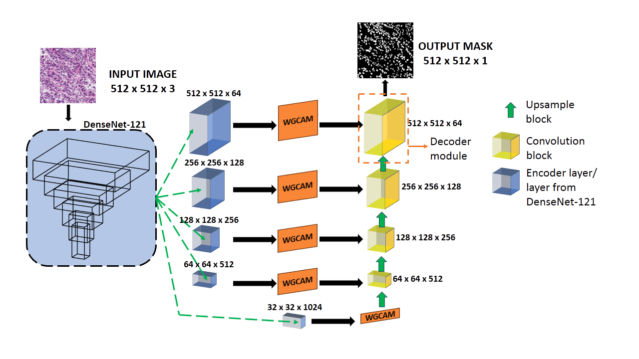 AWGUNET: Attention-Aided Wavelet Guided U-Net for Nuclei Segmentation in Histopathology Images