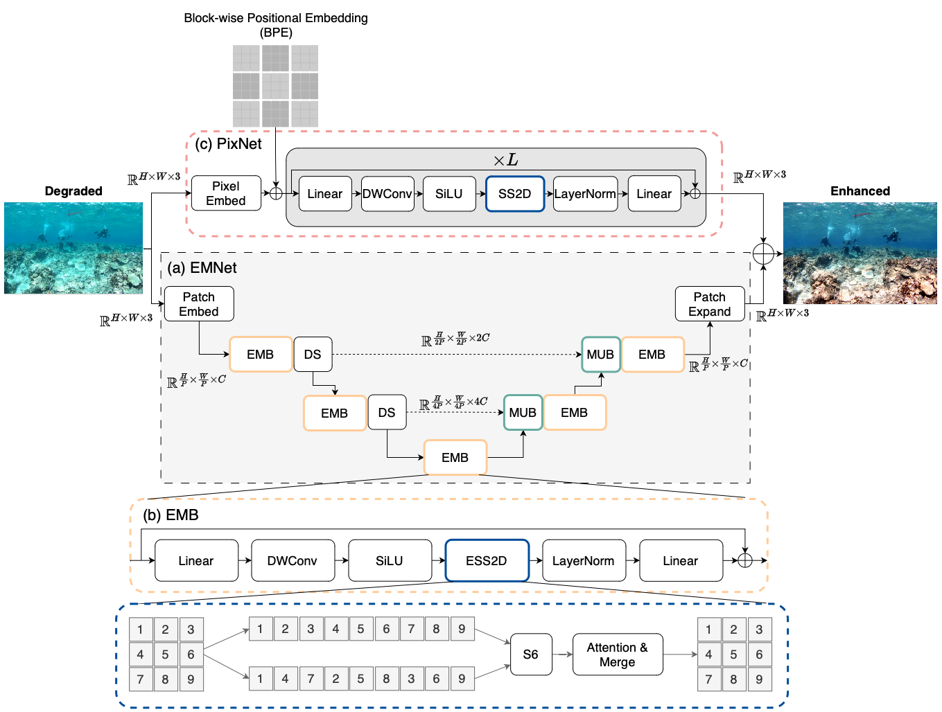 PixMamba: Leveraging State Space Models in a Dual-Level Architecture for Underwater Image Enhancement