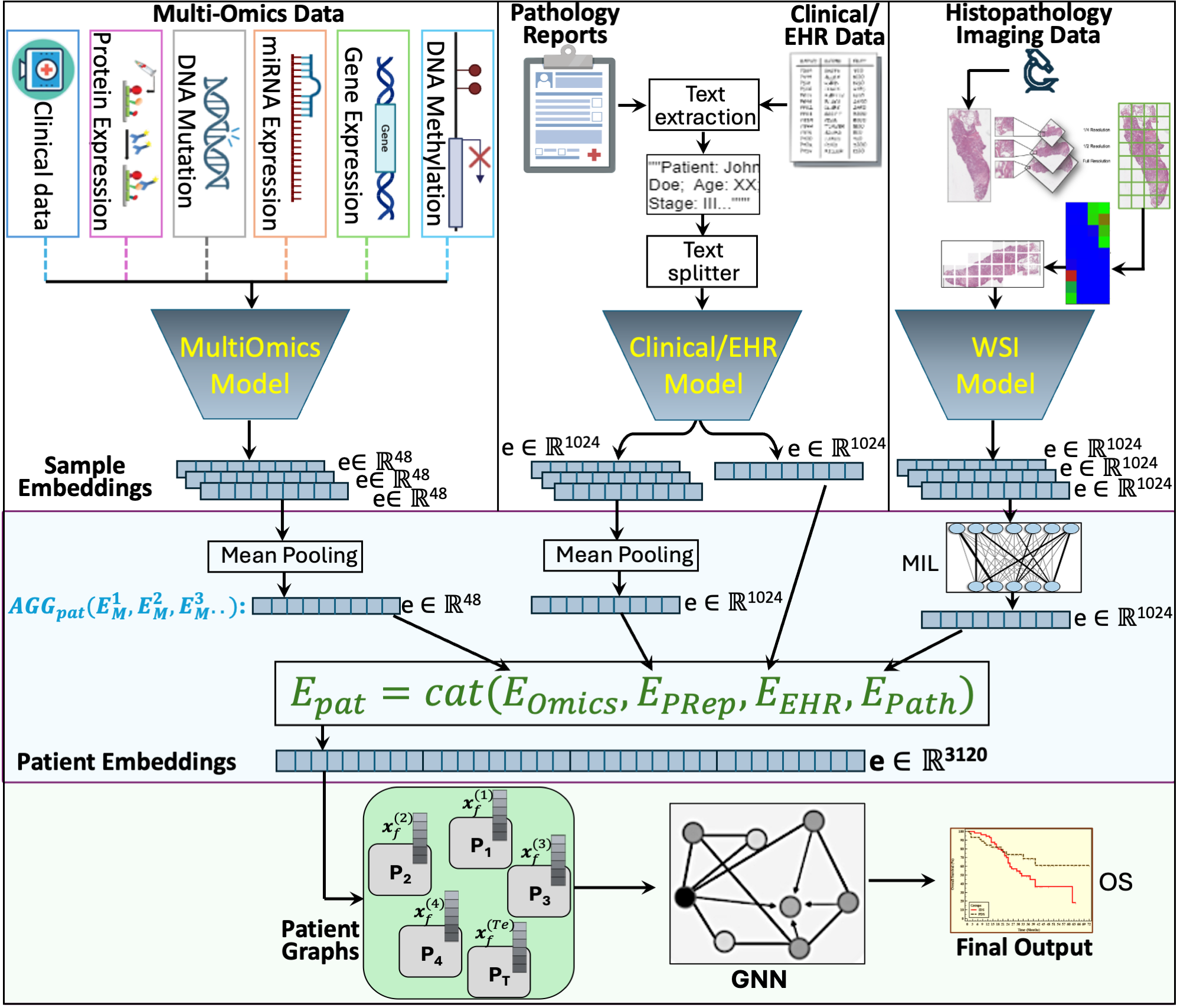 Embedding-based Multimodal Learning on Pan-Squamous Cell Carcinomas for Improved Survival Outcomes