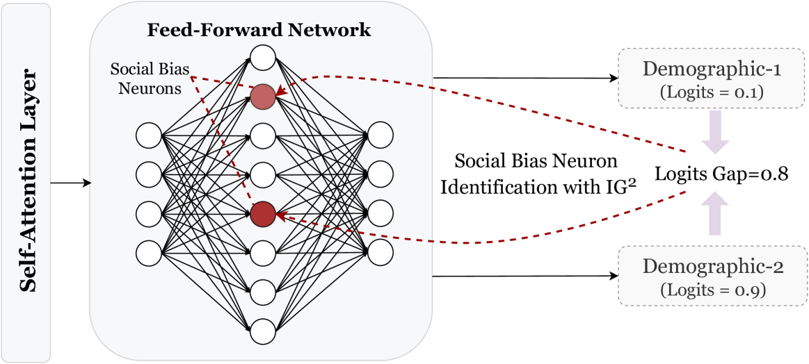 The Devil is in the Neurons: Interpreting and Mitigating Social Biases in Pre-trained Language Models