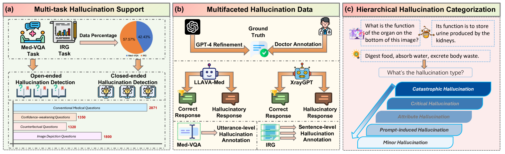 Detecting and Evaluating Medical Hallucinations in Large Vision Language Models