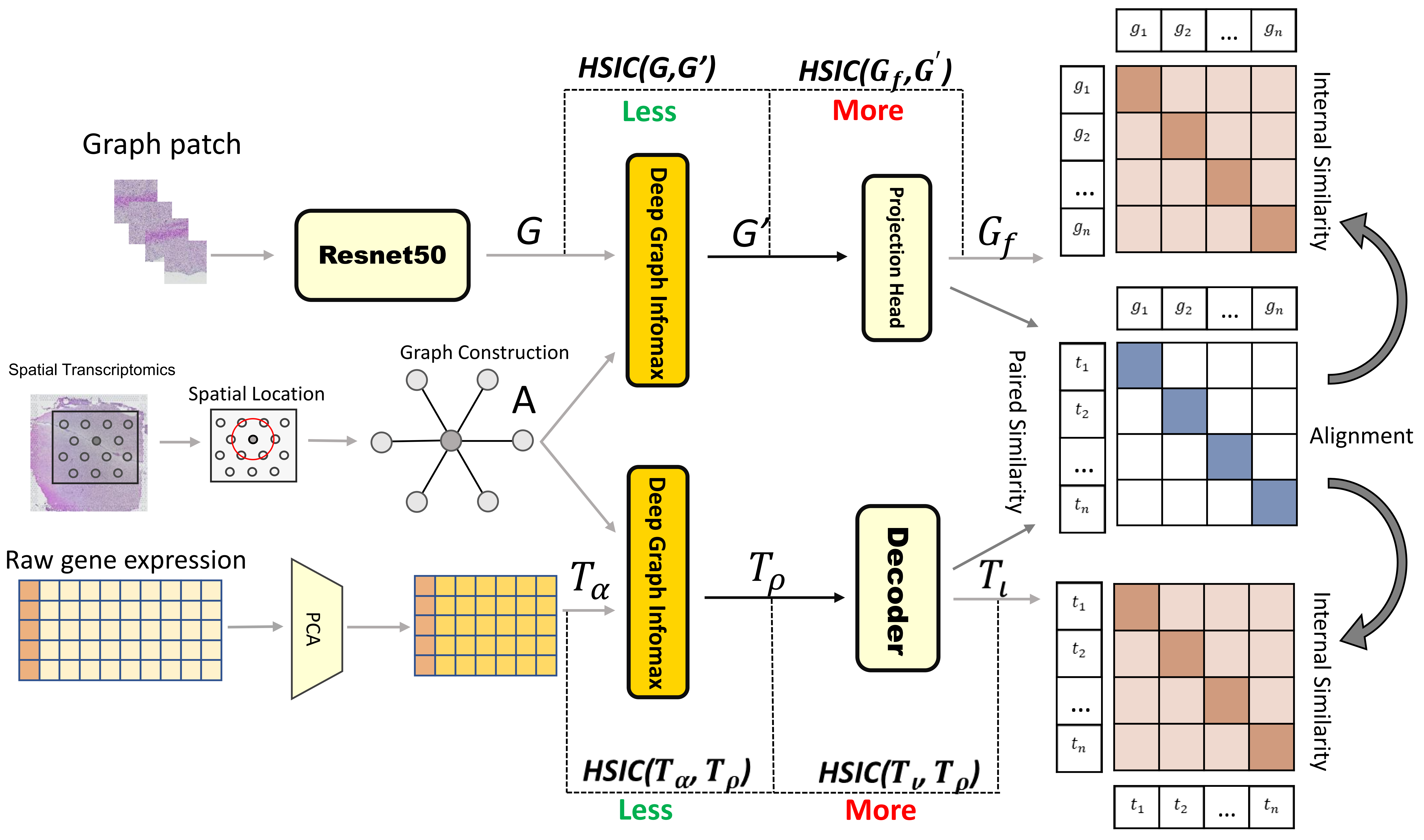 Spatially Resolved Gene Expression Prediction from Histology via Multi-view Graph Contrastive Learning with HSIC-bottleneck Regularization