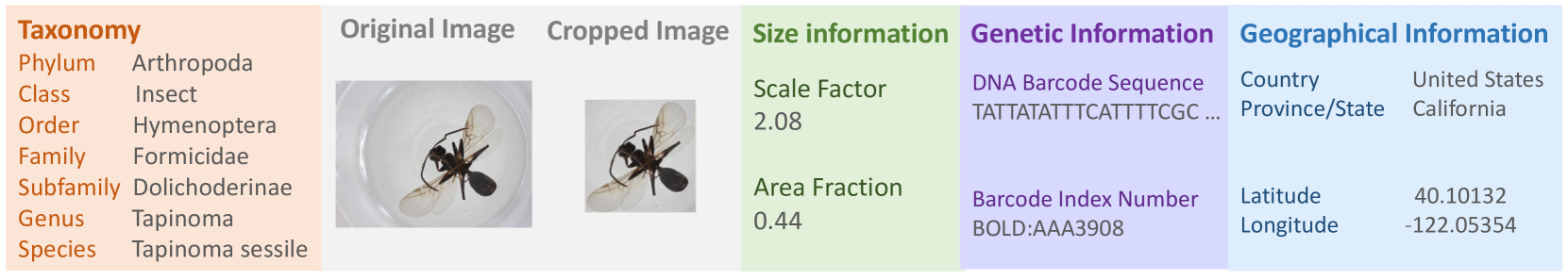 BIOSCAN-5M: A Multimodal Dataset for Insect Biodiversity