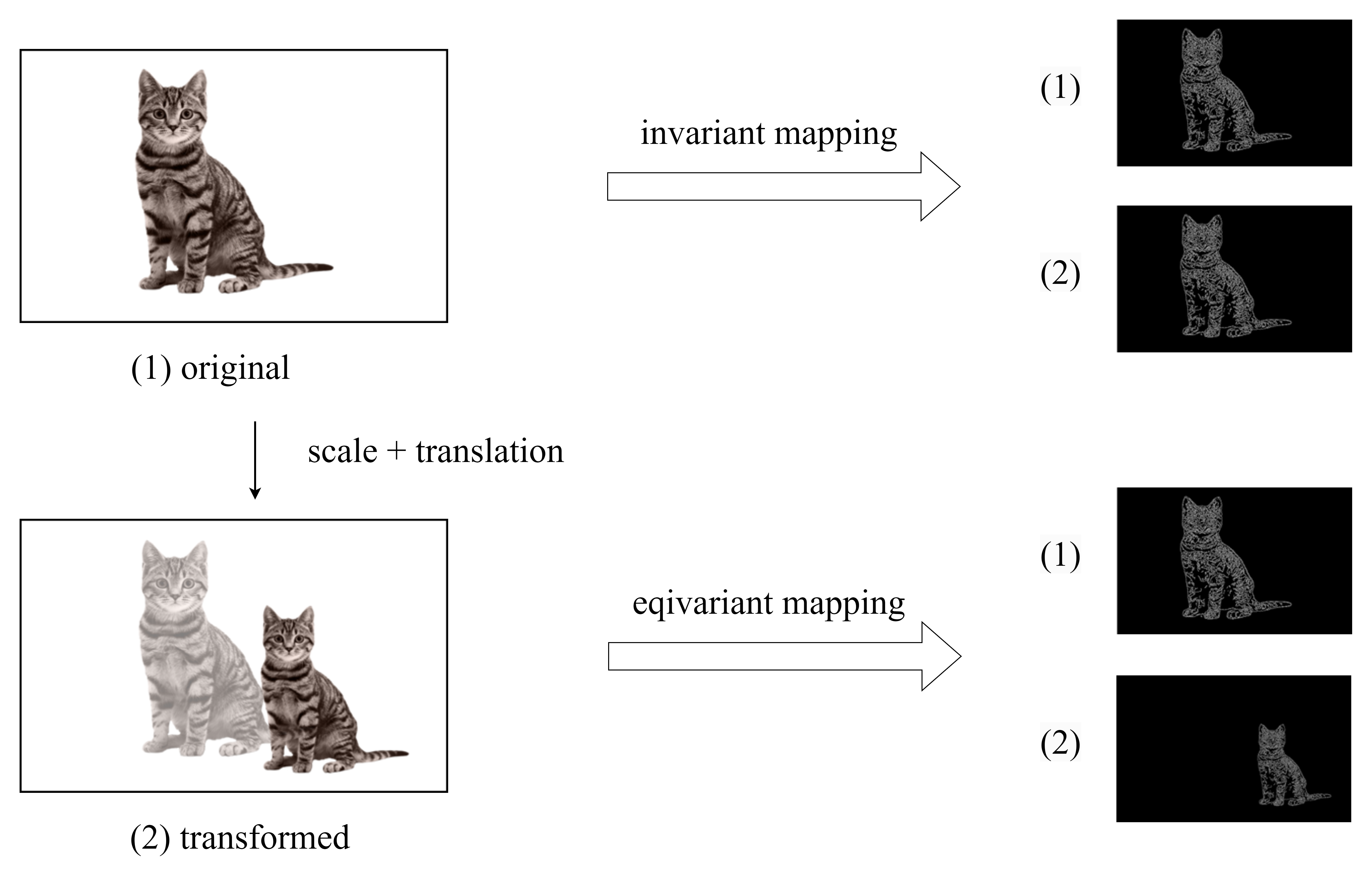 Scale-Translation Equivariant Network for Oceanic Internal Solitary Wave Localization