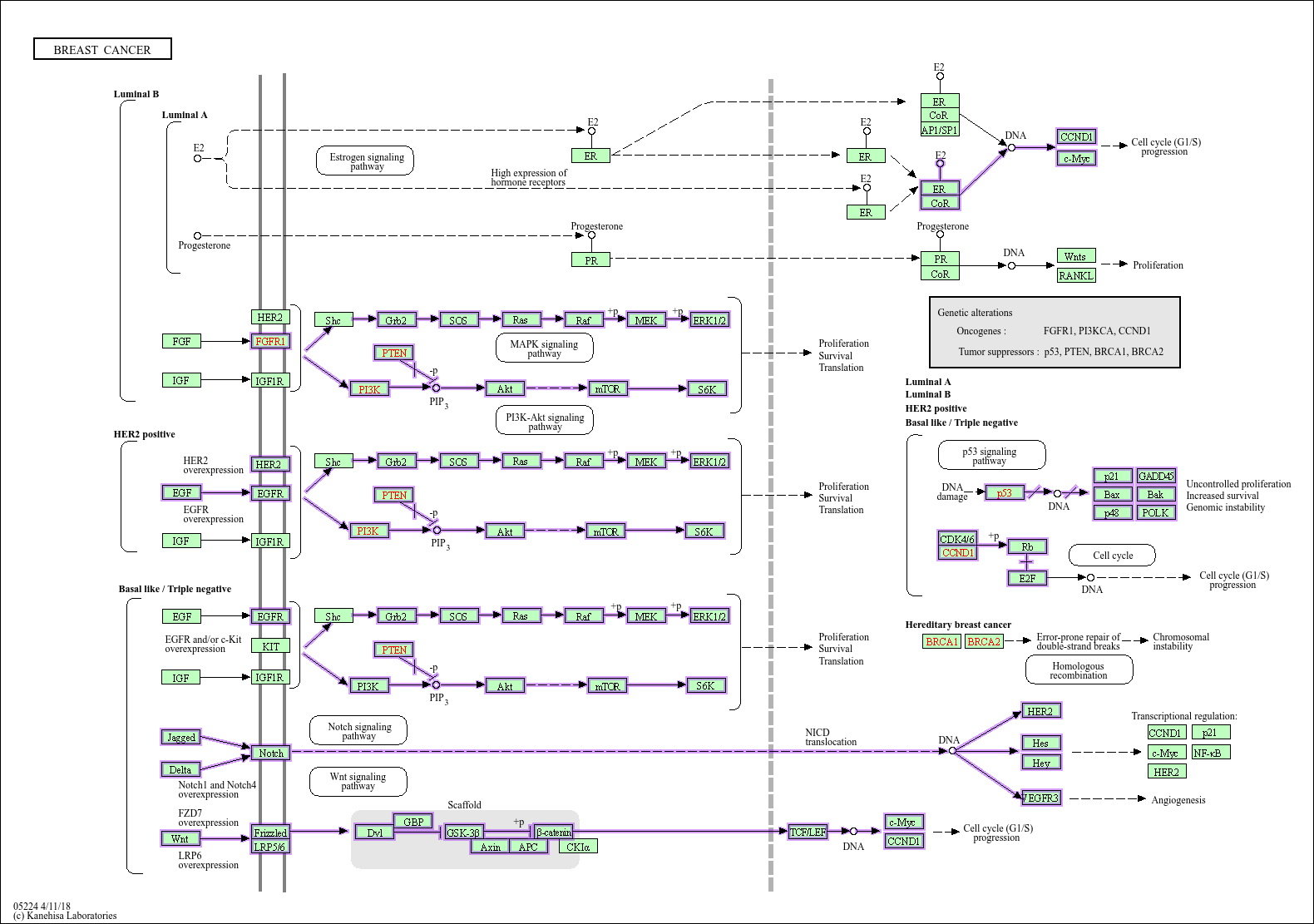 Accelerating Complex Disease Treatment through Network Medicine and GenAI: A Case Study on Drug Repurposing for Breast Cancer