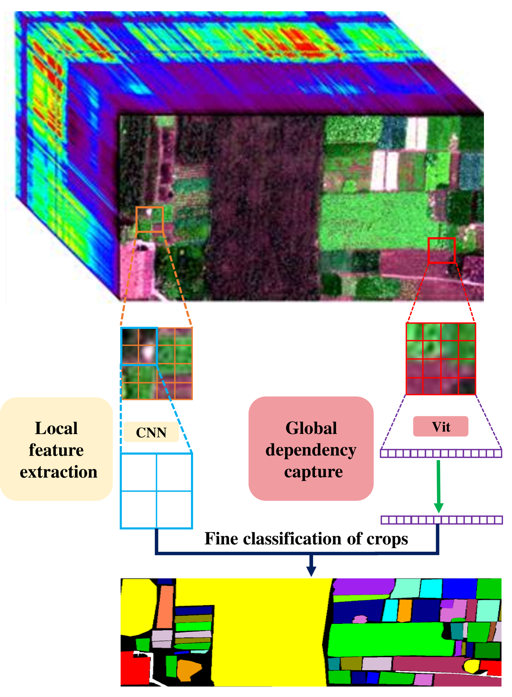 CMTNet: Convolutional Meets Transformer Network for Hyperspectral Images Classification