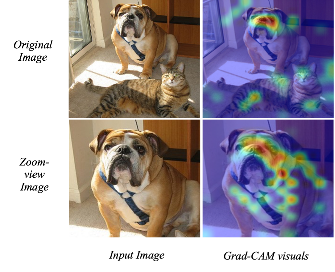 ATAC-Net: Zoomed view works better for Anomaly Detection