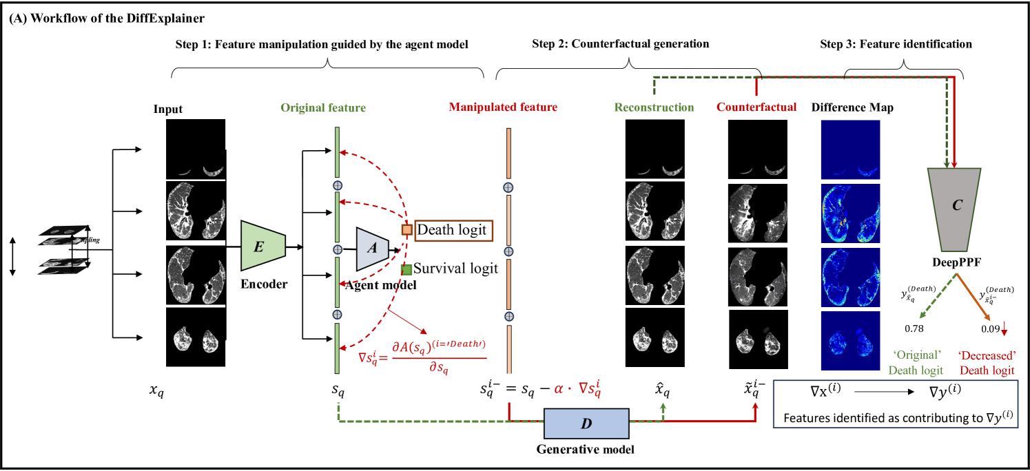 DiffExplainer: Unveiling Black Box Models Via Counterfactual Generation