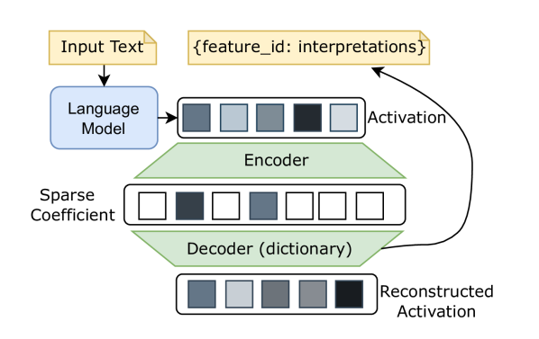 Encourage or Inhibit Monosemanticity? Revisit Monosemanticity from a Feature Decorrelation Perspective